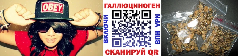 Псилоцибиновые грибы мицелий  Берёзовский 